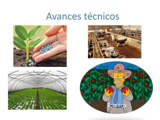 Avances técnicos
Tomaco
 
