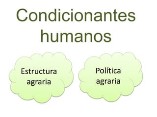 Condicionantes
humanos
Estructura
agraria
Política
agraria
 