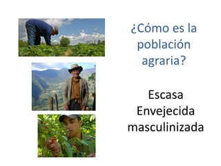 ¿Cómo es la
población
agraria?
Escasa
Envejecida
masculinizada
 