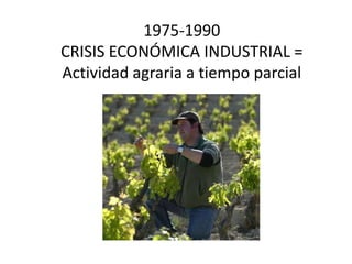 1975-1990
CRISIS ECONÓMICA INDUSTRIAL =
Actividad agraria a tiempo parcial
 