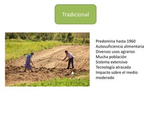 Tradicional
Predomina hasta 1960
Autosuficiencia alimentaria
Diversos usos agrarios
Mucha población
Sistema extensivo
Tecnología atrasada
Impacto sobre el medio
moderado
 