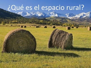 ¿Qué es el espacio rural?
 
