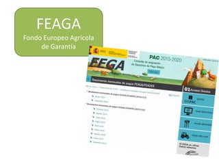 FEAGA
Fondo Europeo Agrícola
de Garantía
 