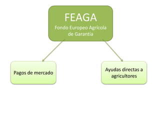 FEAGA
Fondo Europeo Agrícola
de Garantía
Pagos de mercado
Ayudas directas a
agricultores
 