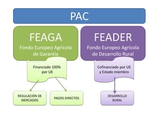 FEAGA
Fondo Europeo Agrícola
de Garantía
FEADER
Fondo Europeo Agrícola
de Desarrollo Rural
Financiado 100%
por UE
Cofinanciado por UE
y Estado miembro
PAC
REGULACIÓN DE
MERCADOS
PAGOS DIRECTOS
DESARROLLO
RURAL
 