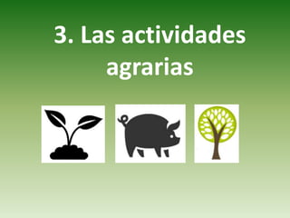 3. Las actividades
agrarias
 