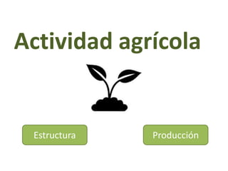 Actividad agrícola
Estructura Producción
 