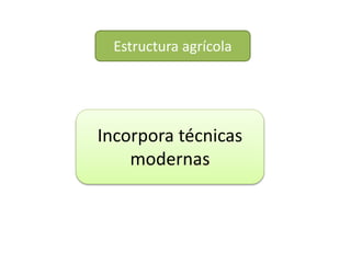 Incorpora técnicas
modernas
Estructura agrícola
 