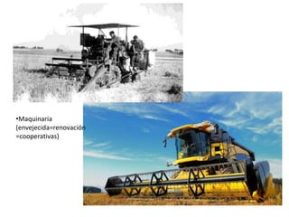 •Maquinaria
(envejecida=renovación
=cooperativas)
 