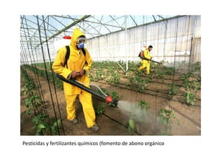 Pesticidas y fertilizantes químicos (fomento de abono orgánico
 