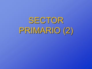 SECTOR
PRIMARIO (2)
 