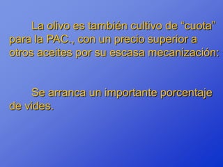La olivo es también cultivo de “cuota”
para la PAC., con un precio superior a
otros aceites por su escasa mecanización:


     Se arranca un importante porcentaje
de vides.
 