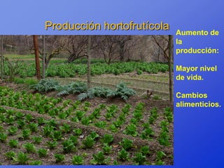 Producción hortofrutícola   Aumento de
                            la
                            producción:

                            Mayor nivel
                            de vida.

                            Cambios
                            alimenticios.
 