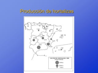 Producción de hortalizas
 