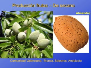 Producción frutas – De secano
                                             Almendro




Comunidad Valenciana, Murcia, Baleares, Andalucía
 
