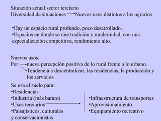 Situación actual sector terciario Diversidad de situaciones Nuevos usos distintos a los agrarios Hay un espacio rural profundo, poco desarrollado. Espacios en donde se une tradición y modernidad, con una especialización competitiva, rendimiento alto. Nuevos usos: Por nueva percepción positiva de lo rural frente a lo urbano. Tendencia a descentralizar, las residencias, la producción y  los servicios Se usa el suelo para: Residencias Industria (más barato) Usos terciarios Paisajísticos, culturales y conservacionistas Infraestructura de transportes Aprovisionamiento Equipamiento recreativo 