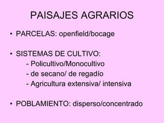 PAISAJES AGRARIOS ,[object Object],[object Object],[object Object],[object Object],[object Object],[object Object]