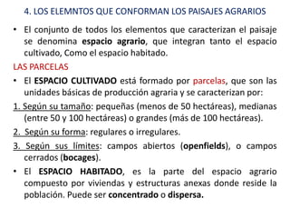 4. LOS ELEMNTOS QUE CONFORMAN LOS PAISAJES AGRARIOS
• El conjunto de todos los elementos que caracterizan el paisaje
   se denomina espacio agrario, que integran tanto el espacio
   cultivado, Como el espacio habitado.
LAS PARCELAS
• El ESPACIO CULTIVADO está formado por parcelas, que son las
   unidades básicas de producción agraria y se caracterizan por:
1. Según su tamaño: pequeñas (menos de 50 hectáreas), medianas
   (entre 50 y 100 hectáreas) o grandes (más de 100 hectáreas).
2. Según su forma: regulares o irregulares.
3. Según sus límites: campos abiertos (openfields), o campos
   cerrados (bocages).
• El ESPACIO HABITADO, es la parte del espacio agrario
   compuesto por viviendas y estructuras anexas donde reside la
   población. Puede ser concentrado o dispersa.
 