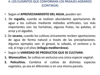 4. LOS ELEMNTOS QUE CONFORMAN LOS PAISAJES AGRARIOS
                       (CONTINÚA)

• Según el APROVECHAMIENTO DEL AGUA, pueden ser:
1. De regadío, cuando se realizan abundantes aportaciones de
   agua a los cultivos mediante métodos artificiales. Los más
   importantes son: las hortalizas, algunas frutas, las patatas, el
   arroz y el algodón.
2. De secano, cuando los cultivos únicamente reciben aportaciones
   de agua de forma natural a través de las precipitaciones.
   Algunos ejemplos son: el girasol, la cebada, el centeno y la
   vid, el trigo y el olivo (trilogía mediterránea).
• Según la VARIEDAD DE PRODUCTOS QUE SE CULTIVAN:
1. Monocultivo. Se cultiva en exclusiva una única especie vegetal.
2. Policultivo. Combina el cultivo de distintas especies
   vegetales, ya sea en diferentes o en una misma parcela.
 