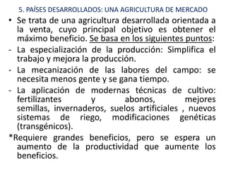 5. PAÍSES DESARROLLADOS: UNA AGRICULTURA DE MERCADO
• Se trata de una agricultura desarrollada orientada a
  la venta, cuyo principal objetivo es obtener el
  máximo beneficio. Se basa en los siguientes puntos:
- La especialización de la producción: Simplifica el
  trabajo y mejora la producción.
- La mecanización de las labores del campo: se
  necesita menos gente y se gana tiempo.
- La aplicación de modernas técnicas de cultivo:
  fertilizantes       y        abonos,         mejores
  semillas, invernaderos, suelos artificiales , nuevos
  sistemas de riego, modificaciones genéticas
  (transgénicos).
*Requiere grandes beneficios, pero se espera un
  aumento de la productividad que aumente los
  beneficios.
 