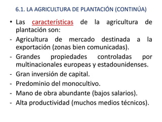 6.1. LA AGRICULTURA DE PLANTACIÓN (CONTINÚA)

• Las características de la agricultura de
  plantación son:
- Agricultura de mercado destinada a la
  exportación (zonas bien comunicadas).
- Grandes propiedades controladas por
  multinacionales europeas y estadounidenses.
- Gran inversión de capital.
- Predominio del monocultivo.
- Mano de obra abundante (bajos salarios).
- Alta productividad (muchos medios técnicos).
 