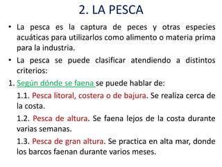 2. LA PESCA
• La pesca es la captura de peces y otras especies
   acuáticas para utilizarlos como alimento o materia prima
   para la industria.
• La pesca se puede clasificar atendiendo a distintos
   criterios:
1. Según dónde se faena se puede hablar de:
   1.1. Pesca litoral, costera o de bajura. Se realiza cerca de
   la costa.
   1.2. Pesca de altura. Se faena lejos de la costa durante
   varias semanas.
   1.3. Pesca de gran altura. Se practica en alta mar, donde
   los barcos faenan durante varios meses.
 