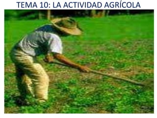 TEMA 10: LA ACTIVIDAD AGRÍCOLA
 