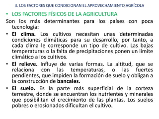 3. LOS FACTORES QUE CONDICIONAN EL APROVECHAMIENTO AGRÍCOLA

• LOS FACTORES FÍSICOS DE LA AGRICULTURA
Son los más determinantes para los países con poca
  tecnología:
• El clima. Los cultivos necesitan unas determinadas
  condiciones climáticas para su desarrollo, por tanto, a
  cada clima le corresponde un tipo de cultivo. Las bajas
  temperaturas o la falta de precipitaciones ponen un límite
  climático a los cultivos.
• El relieve. Influye de varias formas. La altitud, que se
  relaciona con las temperaturas, o las fuertes
  pendientes, que impiden la formación de suelo y obligan a
  la construcción de bancales.
• El suelo. Es la parte más superficial de la corteza
  terrestre, donde se encuentran los nutrientes y minerales
  que posibilitan el crecimiento de las plantas. Los suelos
  pobres o erosionados dificultan el cultivo.
 