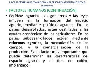 3. LOS FACTORES QUE CONDICIONAN EL APROVECHAMIENTO AGRÍCOLA
                            (Continúa)

• FACTORES HUMANOS (CONTINUACIÓN)
• Políticas agrarias. Los gobiernos y las leyes
  influyen en la formación del espacio
  agrario, mediante políticas agrarias. En los
  países desarrollados, están destinadas a las
  ayudas económicas de los agricultores. En los
  países subdesarrollados, actúan mediante
  reformas agrarias, la mecanización de los
  campos, y la comercialización de la
  producción. Es un factor muy importante, que
  puede determinar las características del
  espacio agrario y el tipo de cultivo
  implantado.
 