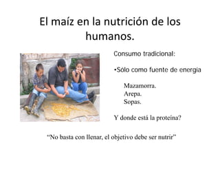 Cómo se involucra el sector privado en la salud pública: una visión del gremio a partir de la biofortificación
