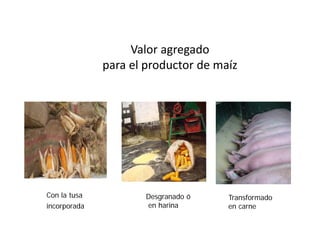 Cómo se involucra el sector privado en la salud pública: una visión del gremio a partir de la biofortificación