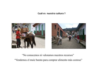 Cómo se involucra el sector privado en la salud pública: una visión del gremio a partir de la biofortificación