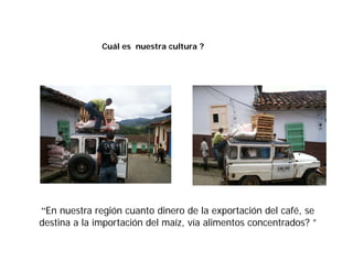 Cómo se involucra el sector privado en la salud pública: una visión del gremio a partir de la biofortificación