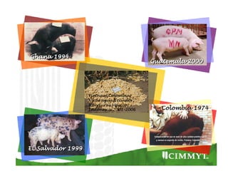 Cómo se involucra el sector privado en la salud pública: una visión del gremio a partir de la biofortificación