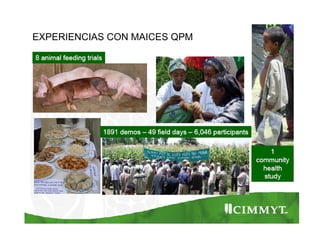 Cómo se involucra el sector privado en la salud pública: una visión del gremio a partir de la biofortificación