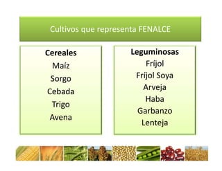 Cómo se involucra el sector privado en la salud pública: una visión del gremio a partir de la biofortificación