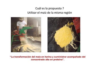 Cómo se involucra el sector privado en la salud pública: una visión del gremio a partir de la biofortificación