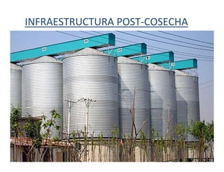 Cómo se involucra el sector privado en la salud pública: una visión del gremio a partir de la biofortificación