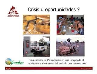 Cómo se involucra el sector privado en la salud pública: una visión del gremio a partir de la biofortificación