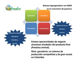 Cómo se involucra el sector privado en la salud pública: una visión del gremio a partir de la biofortificación