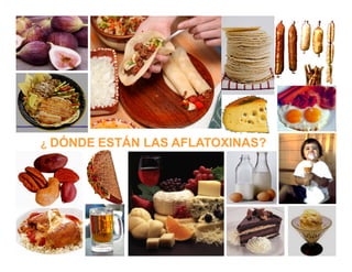 Cómo se involucra el sector privado en la salud pública: una visión del gremio a partir de la biofortificación