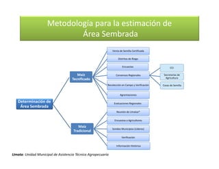 Cómo se involucra el sector privado en la salud pública: una visión del gremio a partir de la biofortificación