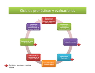 Cómo se involucra el sector privado en la salud pública: una visión del gremio a partir de la biofortificación