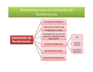 Cómo se involucra el sector privado en la salud pública: una visión del gremio a partir de la biofortificación