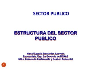 SECTOR PUBLICO


    ESTRUCTURA DEL SECTOR
           PUBLICO


            María Eugenia Benavides Acevedo
        Economista. Esp. En Gerencia de RENAS
     MS.c. Desarrollo Sustentable y Gestión Ambiental

1
 