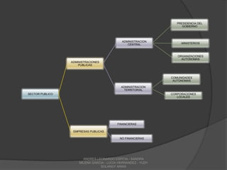 El Gobierno General incluye las instituciones públicas que producen o suministrar llamados servicios colectivos, tales como educación, justicia, defensa, entre otros, y cuyo financiamiento proviene, básicamente, del cobro de impuestos y o contribuciones obligatorias. Las empresas publicas, que clasifican dentro de las no financieras, producen y venden bienes y servicios, y sus fuentes de financiamiento determinan por los precios y tarifas que cobran.El subsector financiero abarca los entes que cumplen actividades iguales o similares a los demás intermediarios financieros del sistema, tales como: Bancos