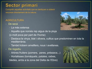 Comprèn aquelles activitats que es dediquen a obtenir
recursos directament de la natura.

AGRICULTURA
- De secà
- La més extensa
- Aquella que només rep aigua de la pluja
(o molt poca per part de l’home)
- Destaca la vinya, blat i olivera, cultius que predominen en tota la
mediterrània.
- També trobem ametllers, nous i avellanes.
- De regadiu
- Arbres fruiters (pomers, peres, préssecs...)
- Hortalisses (tomàquets, patates, cebes,
bledes, arròs a la zona del Delta de l’Ebre)

 