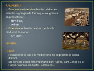 RAMADERIA
- Estabulada o intensiva (bestiar criat en els
estables o granges de forma que s’augmenta
en productivitat).
- Boví i oví.
- Aviram
- Extensiva (el bestiar pastura, per tant la
producció és menor).
- Oví i boví.
MINERIA

PESCA
- Pesca litoral, ja que a la mediterrània no es practica la pesca
d’altura.
- Els ports de pesca més importants són: Roses, Sant Carles de la
Ràpita, Vilanova i la Geltrú, Barcelona...

 