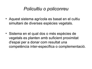 Policultiu o policonreu <ul><li>Aquest sistema agrícola es basat en el cultiu simultani de diverses espècies vegetals.  </...