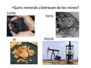•Quins minerals s’extreuen de les mines?
Carbó
                      Ferro




   Or                Petroli
 